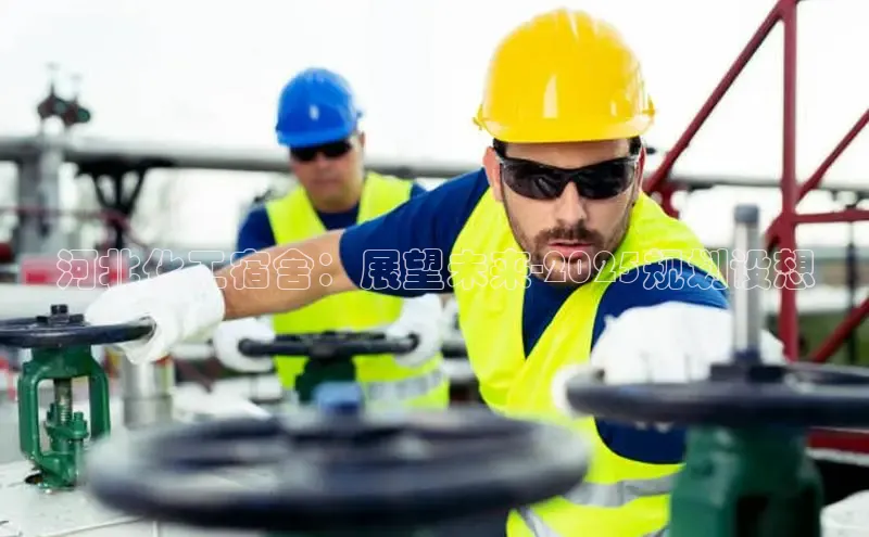 贝博bb平台体育网页版