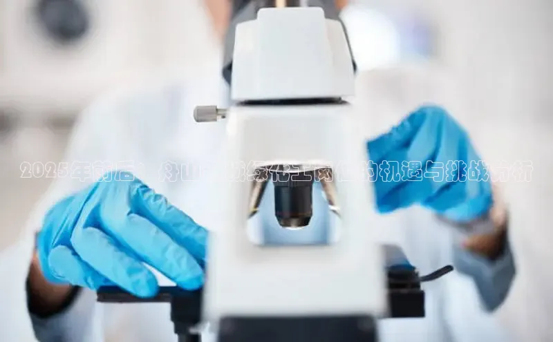 BB贝博平台登录app下载